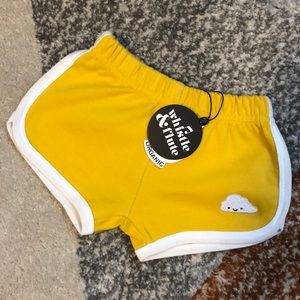 New Whistle & Flute track shorts